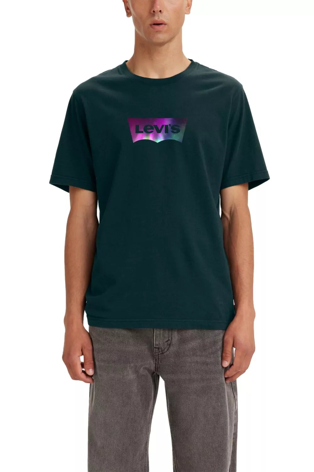 CAMISETA MEN DARK GREEN - LEVIS